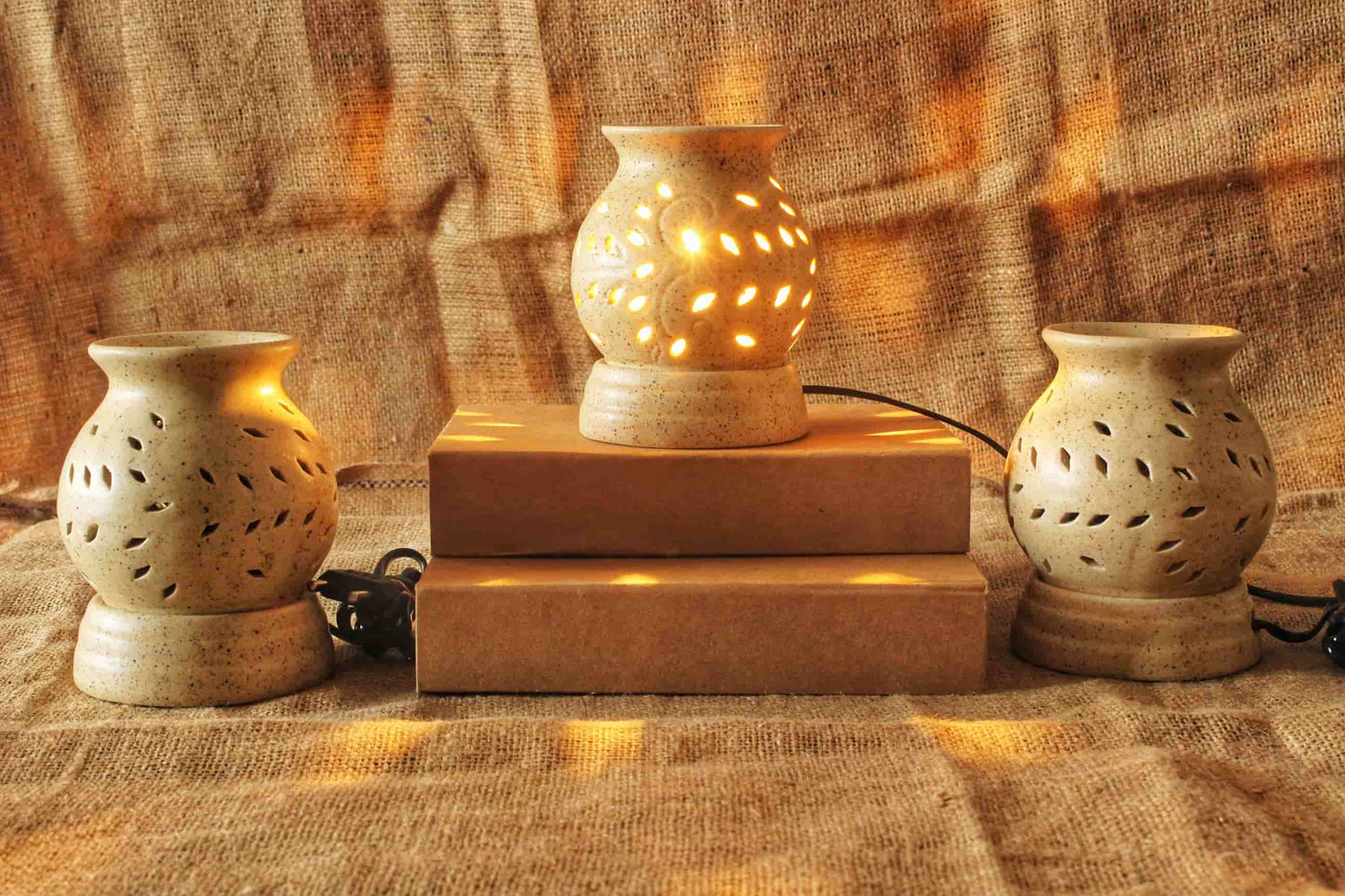 Premium Wax Melter