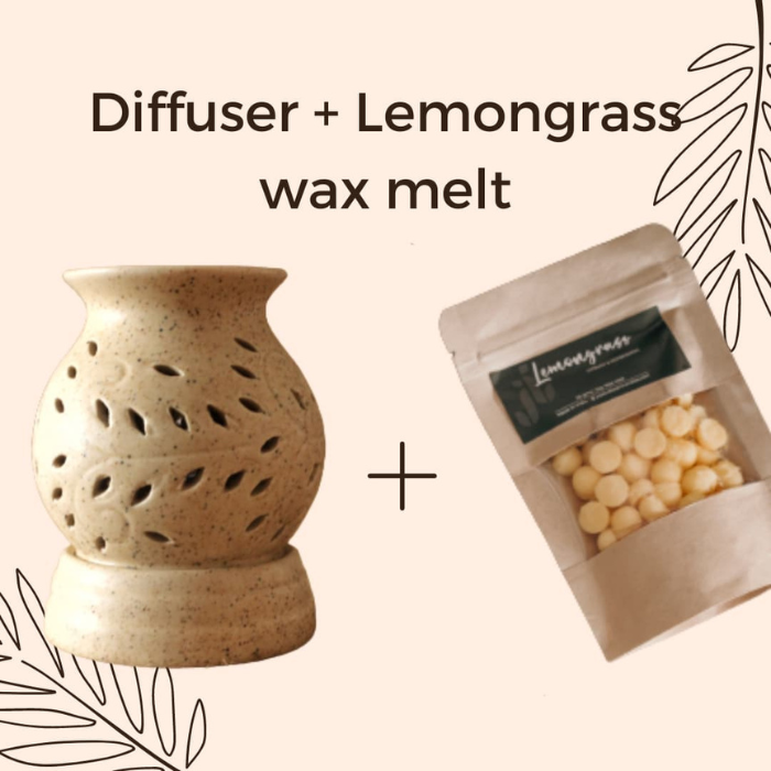 Gift Wax Melter